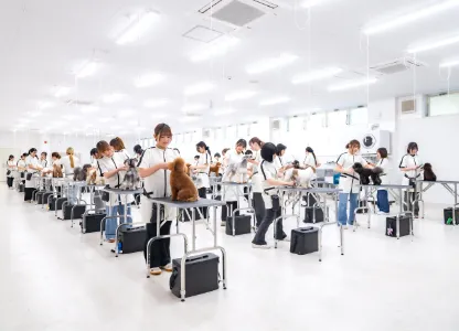 トリミングルーム 写真