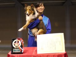 全国家庭犬訓練競技大会　優秀賞 写真