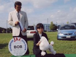 １９年度  ドッグショー入賞 写真