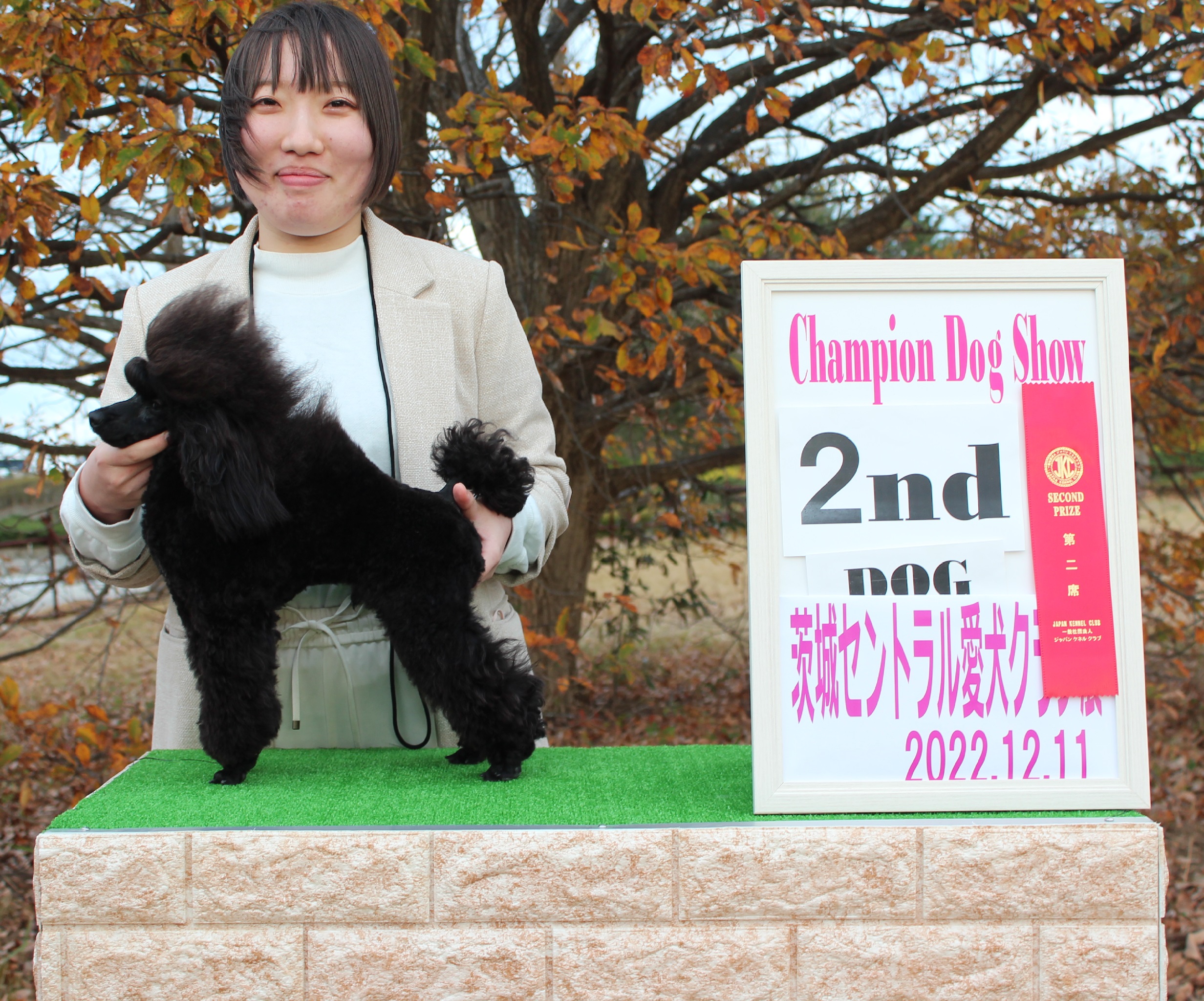ドッグショー2位入賞 写真