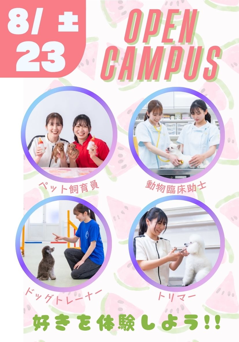 オープンキャンパス