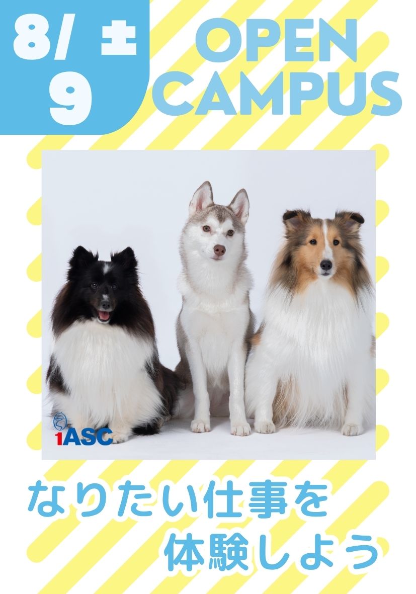 オープンキャンパス