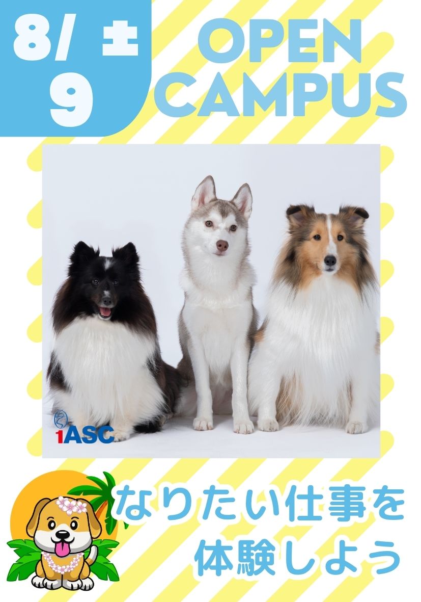 オープンキャンパス