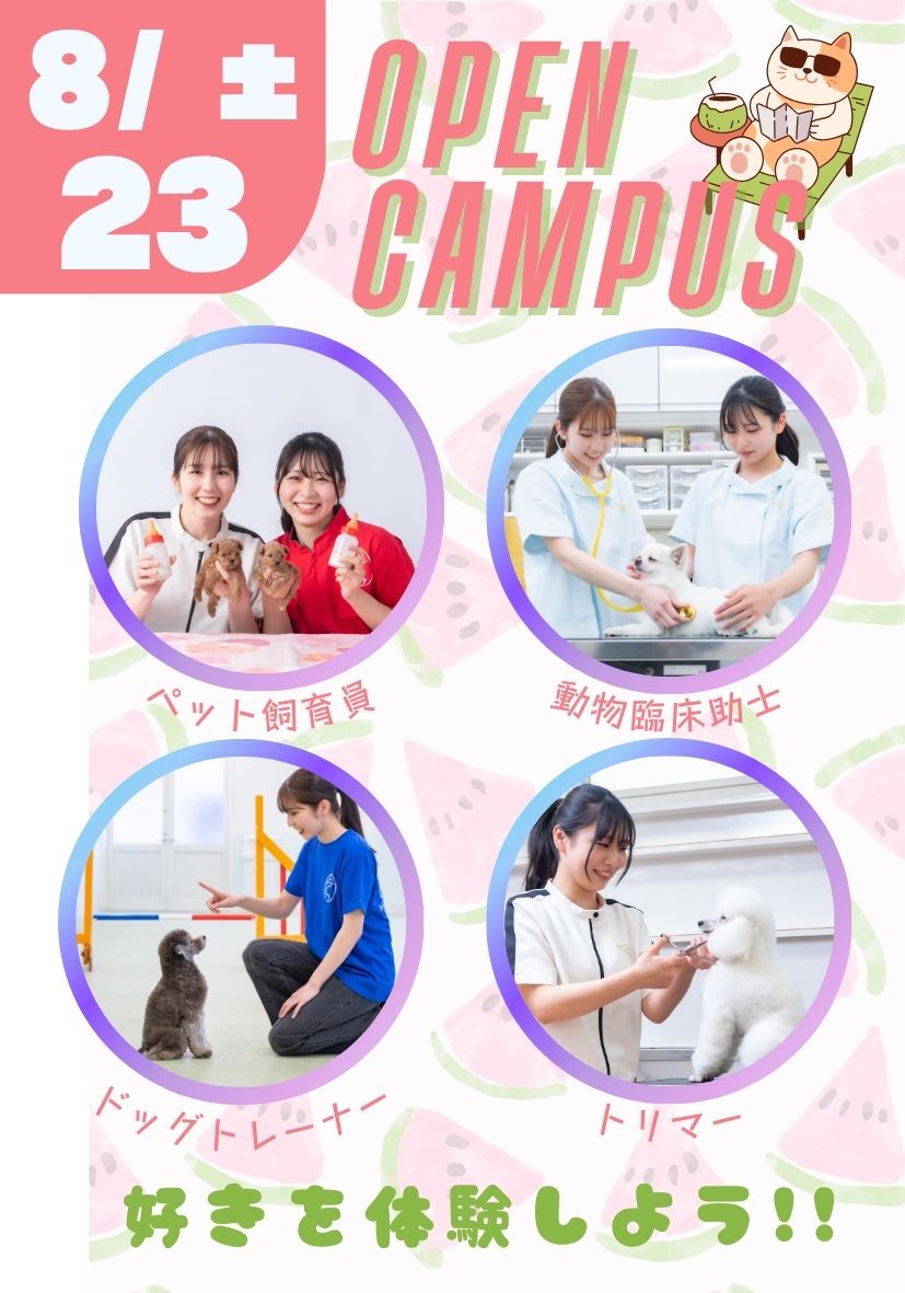 オープンキャンパス