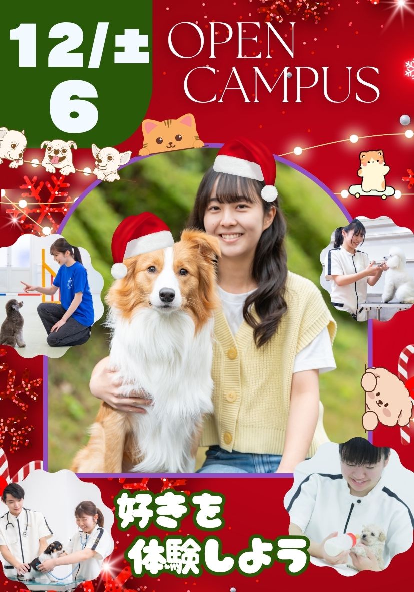 オープンキャンパス