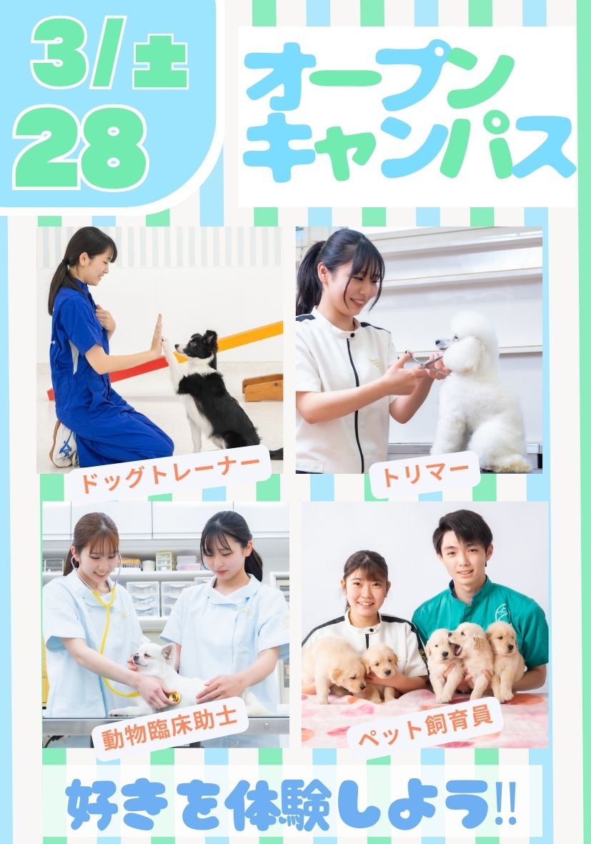 オープンキャンパス