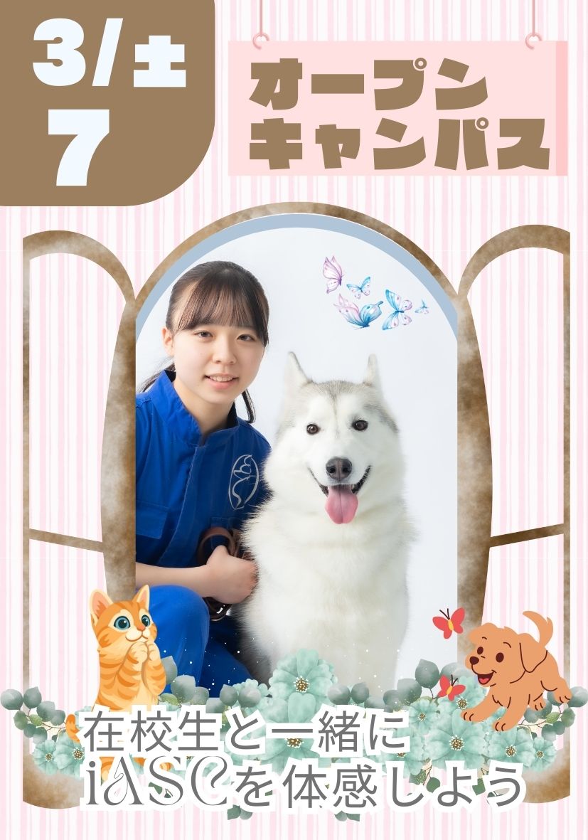 オープンキャンパス