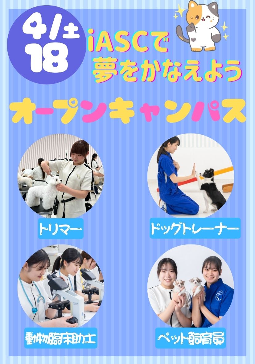 オープンキャンパス