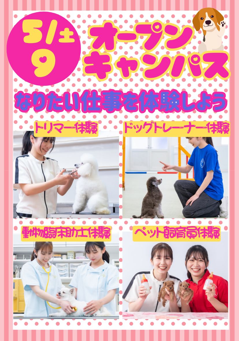 オープンキャンパス