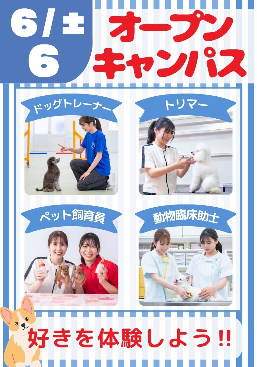 オープンキャンパス