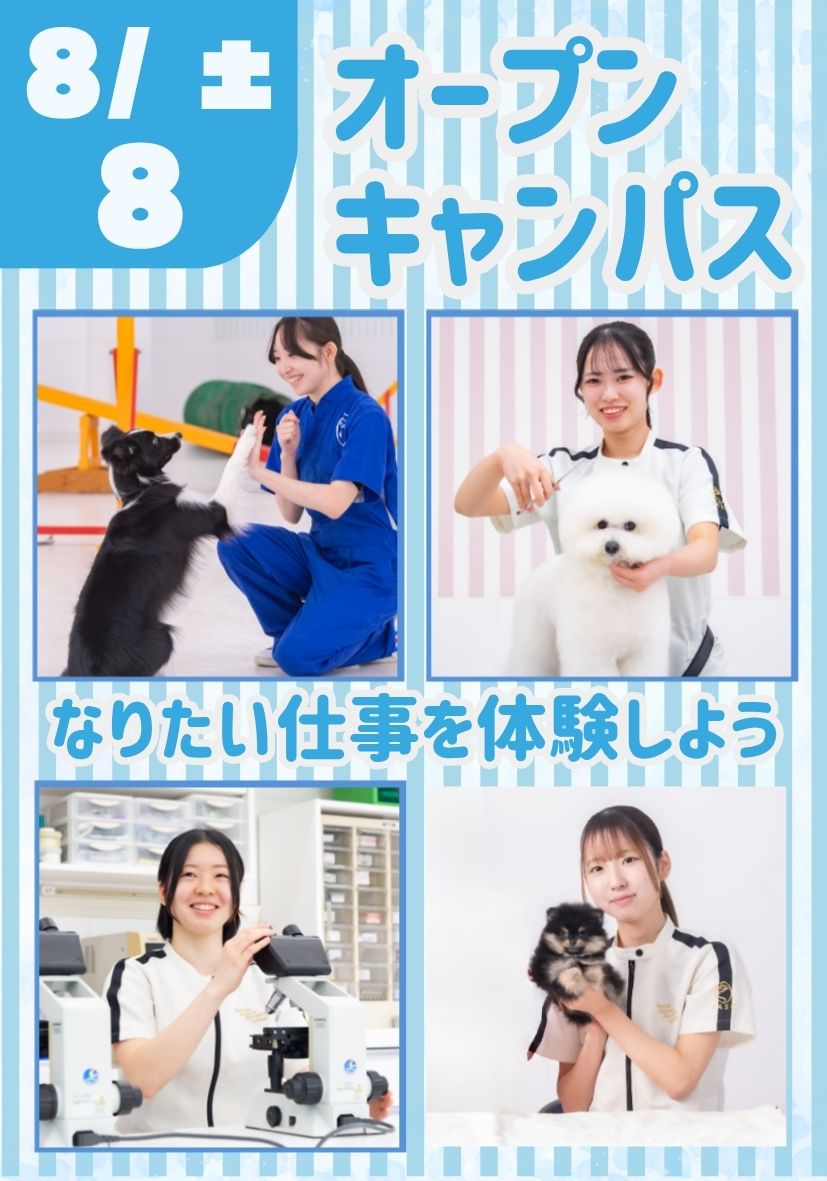 オープンキャンパス