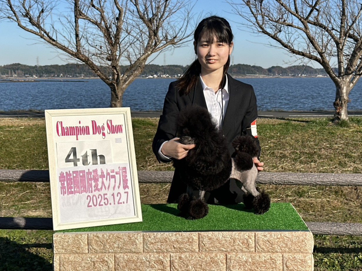 ドッグショー4位入賞 写真