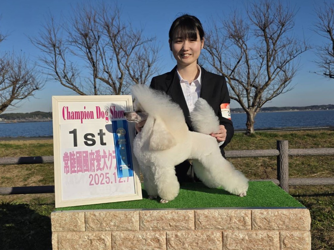 ドッグショー1位入賞 写真
