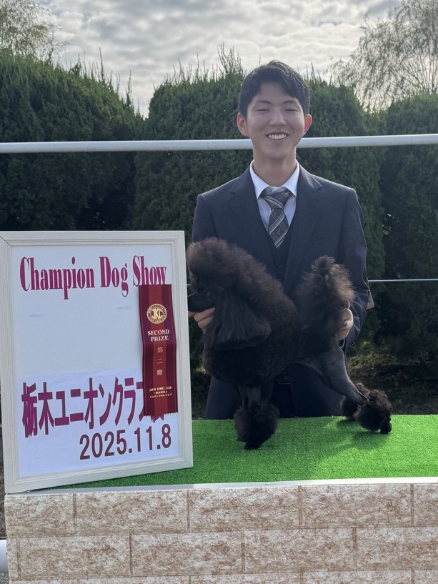 ドッグショー2位入賞 写真