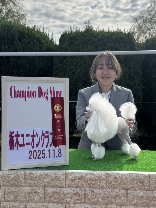 ドッグショー2位入賞 写真