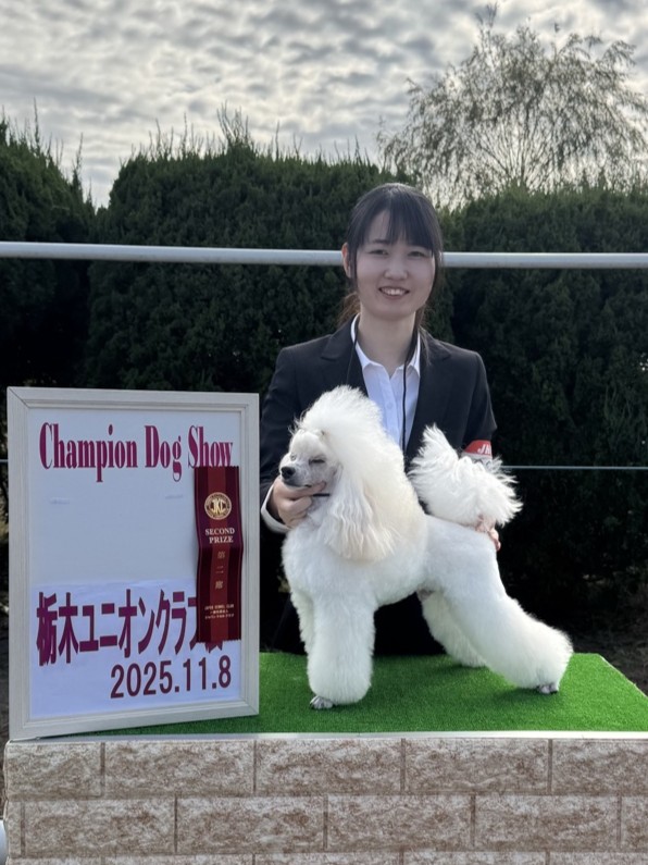 ドッグショー2位入賞 写真
