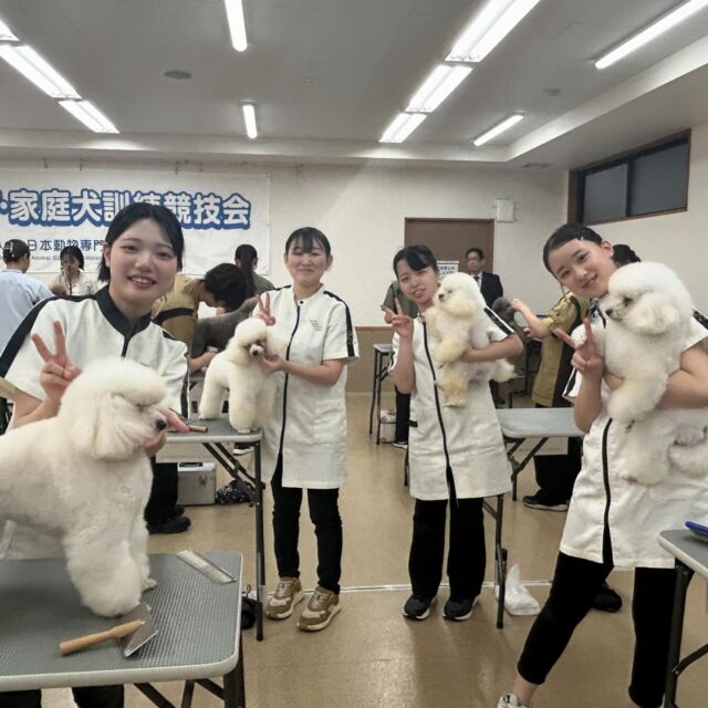 本日は全国トリミング競技会に出場させて頂きます🐩‪ ✨️

今日までたくさんの練習を重ね、頑張ってきた学生たち🥲本番まで残り少し…⏰
緊張している子もいますが、今までの練習の成果を出せるように頑張ってね‼️

🐾
🐾
🐾

#いばらき動物専門学院 #動物専門学校 #土浦市 #トリマー #ドッグトレーナー #動物看護師 #飼育員  #ぷーどる #担当犬 #ライセンス取得 #仔犬 #赤ちゃん #実習 #パートナードッグ  #iASC #いば動 #茨城 #動物 #専門 #学校  #犬 #いぬ #オープンキャンパス #個別面談 #トリマー競技会