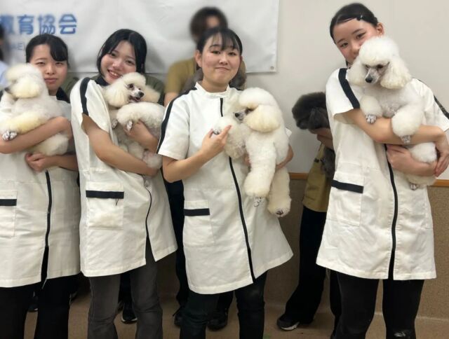 今日は #トリミング競技会 でした🐶✂️✨
全国トリミング家庭犬競技会はコロナでなかなか開催出来なかったので、久しぶりの大会でした✨

iASCからも出場‼️
毎日頑張った成果を発揮しました💪🔥

結果は技能賞入賞👑✨

みんなとっても良く頑張りました💮
🐾
🐾
🐾⁡
⁡#いばらき動物専門学院 #動物専門学校 #土浦市 #トリマー #ドッグトレーナー #動物看護師 #飼育員  #ぷーどる #担当犬 #ライセンス取得 #仔犬 #赤ちゃん #実習 #パートナードッグ  #iASC #いば動 #茨城 #動物 #専門 #学校  #犬 #いぬ #オープンキャンパス #個別面談 #トリマー競技会