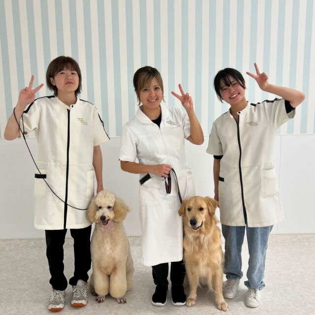 本日はペットサロンオーナーN先生による#美容実習でした🐶💓

普段から楽しくトリミングを教えてくださるN先生💪現場での立ち振る舞いやオーナー目線の事も細かく教えてくださいます😌

授業後は愛犬「ドル」ちゃんと一緒に📸
本日もありがとうございました🙇🏻‍♀️
🐾
🐾
🐾
#いばらきどうぶつ専門学校 #いばらき動物専門学院 #動物専門学校 #いばどう #土浦市 #トリマー #ドッグトレーナー #動物看護師 #動物臨床助士 #飼育員 #ライセンス取得 #実習 #パートナードッグ #可愛い #iASC #いば動 #茨城 #動物 #専門 #学校 #犬 #オープンキャンパス #個別面談 #体験会 #水戸動物専門学 #現役のプロから教わる授業