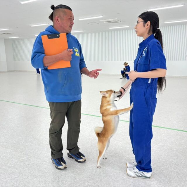 今日の#訓練実習 は犬🐶のしつけ、訓練教室オーナーのS先生とT先生の授業でした✨

今回も競技会を想定した授業をメインに行いました‼️

競技会でいい成績が残せるよう頑張って練習していこう💪🔥

先生、次回もよろしくお願いいたします🙇
🐾⁡
⁡🐾⁡
⁡🐾
⁡⁡⁡⁡#いばらきどうぶつ専門学校 #いばらき動物専門学院 #動物専門学校 #いばどう #土浦市 #トリマー #ドッグトレーナー #動物看護師 #動物臨床助士 #飼育員 #ライセンス取得 #実習 #パートナードッグ #可愛い #iASC #いば動 #茨城 #動物 #専門 #学校 #犬 #オープンキャンパス #個別面談 #水戸動物専門学校 #dogschoolzero⁡ #現役のプロから教わる授業