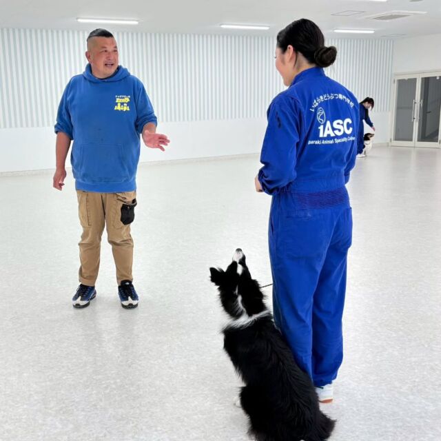 今日の#訓練実習 は犬🐶のしつけ、訓練教室オーナーのS先生とH先生の授業でした✨

今回は次の競技会を想定した授業をメインに行いました‼️

実際にリンクを作ったりといつもの教室でも違った緊張感の中の練習でした💦

新しい改善点がたくさん見つかりました☺️

本番までになおせるように頑張って行きましょう🎶

先生、次回もよろしくお願いいたします🙇
🐾⁡
⁡🐾⁡
⁡🐾
⁡⁡⁡⁡#いばらきどうぶつ専門学校 #いばらき動物専門学院 #動物専門学校 #いばどう #土浦市 #トリマー #ドッグトレーナー #動物看護師 #動物臨床助士 #飼育員 #ライセンス取得 #実習 #パートナードッグ #可愛い #iASC #いば動 #茨城 #動物 #専門 #学校 #犬 #オープンキャンパス #個別面談 #水戸動物専門学校 #dogschoolzero⁡ #現役のプロから教わる授業