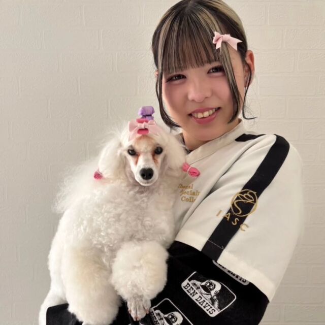 #担当犬 🐶が来ました⭐️

 #トイプードルの　「りぼん」ちゃん🎀

おそろいのリボン🎀をつけて写真を撮ってくれました💕

これから一緒に頑張っていこうね😊
🐾
🐾
🐾
#いばらきどうぶつ専門学校 #いばらき動物専門学院 #動物専門学校 #動物 #トリマー #ドッグトレーナー #家庭犬訓練士 #動物看護師 #動物臨床助士 #飼育員 #🐶 #dog #doglover #土浦 #土浦駅 #水戸 #水戸動物専門学校  #つくば #日立 #担当犬 #パートナードッグ #犬 #かわいい⁡⁡#オンリーワンちゃん