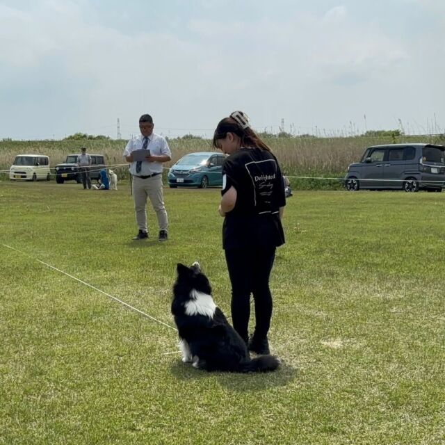 本日は#訓練競技会 に出場してきました❗

今回は2年生のみの出場で #担当犬🐩 のデビュー戦でした✨

担当犬の子たちは始めての場所やたくさんの人に見られていて少し戸惑っている様子でしたが、本番になると堂々と競技を行いとってもカッコよかったです😊

今回の競技会での経験を活かし、次に向けてレベルアップできるよう頑張っていこう‼️
⁡🐾⁡
⁡🐾⁡
⁡🐾⁡
⁡⁡⁡⁡⁡⁡⁡⁡#いばらきどうぶつ専門学校 #いばらき動物専門学院 #動物専門学校 #いばどう #土浦市 #トリマー #ドッグトレーナー #動物看護師 #動物臨床助士 #飼育員 #ライセンス取得 #実習 #パートナードッグ #可愛い #iASC #いば動 #茨城 #動物 #専門 #学校 #犬 #オープンキャンパス #個別面談  #訓練大会  #シェットランドシープドッグ#ボーダーコリー＃トイプードル  #マルチーズ #ゴールデンレトリバー