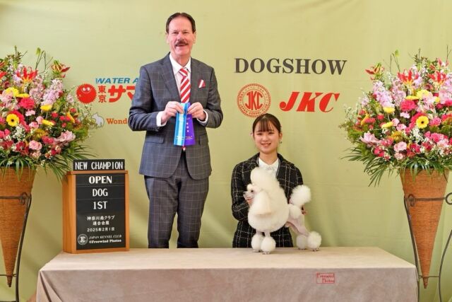 Congratulations 🎉🎉🎉
We received a wonderful photo 🥰

MISS.K & her partner Peta participated in a professional competition while they were still in school and won the wonderful title of champion 🏆

I think anyone who has participated in a professional competition will understand how difficult it is to become a champion 🧐

MISS.K and Peta😘 Keep up the good work‼️

おめでとうございます🎉🎉🎉
素敵な写真が届きました🥰

在学中に #担当犬 と一緒に #プロの大会 に出場し見事チャンピオンという素晴らしい称号を獲得したKちゃんとペタくん🏆

プロの大会でチャンピオンになる難しさはプロの大会に出ている方なら分かってもらえると思います🧐

Kちゃんとペタくん😘これからも頑張ってね‼️
🐾
🐾
🐾
 #トイプードル #ビションフリーゼ#コンチネンタルクリップ #ハンドラー #グルーマー #いばらき動物専門学院 #土浦 #担当犬 #ライセンス取得 #実習 #パートナードッグ #可愛い #iASC #いば動 #茨城 #動物 #専門 #学校  #犬 #いぬ #セットアップ #ショークリップ #入賞 #できるのはここだけ #現役のプロから教わる授業 #いばらきどうぶつ専門学校