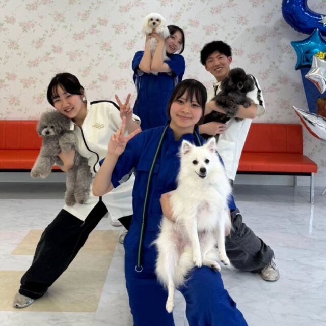 本日は雨の中☂️オープンキャンパスにたくさんの方にご参加いただきありがとうございました✨

お手伝いしてくれた在校生いつもありがとう😊💕

みなさん😊😊可愛いワンちゃんたちと楽しく体験していただきました🎶

来月から総合型選抜のエントリーが始まりますので、たくさんオープンキャンパスに参加して進路の参考にして下さいね☺️💕

次回のオープンキャンパスは5/24です🎶

イベントの日程やご予約はプロフィール欄から
HPへGO👉@iasc_iasc
🐾
🐾
🐾
⁡⁡⁡⁡⁡⁡#いばらきどうぶつ専門学校 #いばらき動物専門学院 #動物専門学校 #いばどう #土浦市 #トリマー #ドッグトレーナー #動物看護師 #動物臨床助士 #飼育員 #ライセンス取得 #実習 #パートナードッグ #可愛い #iASC #いば動 #茨城 #動物 #専門 #学校 #犬 #オープンキャンパス #個別面談 #体験会 #水戸動物専門学校 #優しい先輩 #在校生ありがとう