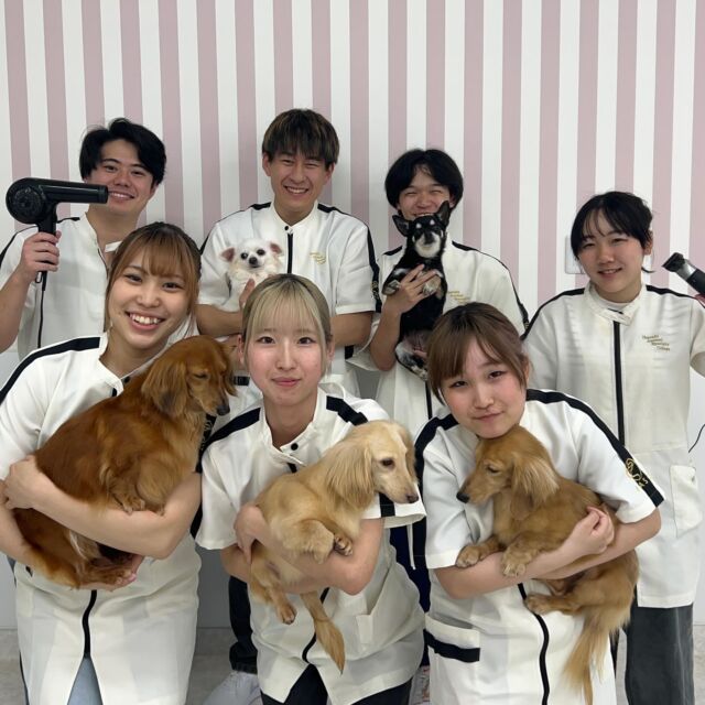 今日は1年生全員で #美容実習 を行いました🐶✨️

慣れない作業に苦戦している様子もありましたが、先輩のアドバイスのおかげで全員最後まで仕上げることが出来ました👏︎💕︎

お手伝いしてくれた2年生達ありがとう~🌟

元気いっぱいでパワフルな1年生☀️
これからの成長がとっても楽しみです‼️
引き続き頑張っていこう~💪
🐾
🐾
🐾
⁡#いばらきどうぶつ専門学校 #動物専門学校 #いばどう #土浦市 #トリマー #ドッグトレーナー #動物看護師 #動物臨床助士 #飼育員 #ライセンス取得 #実習  #可愛い #iASC #いば動 #茨城 #動物 #専門 #学校 #犬 #オープンキャンパス #個別面談 #体験会 #水戸動物専門学校