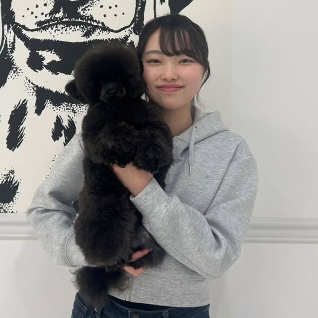 #担当犬 🐶が来ました⭐️

 #トイプードル の「むぎ」くん🌾

すごく甘えん坊な男の子です🎶

これから一緒に訓練頑張ろう‼️
🐾
🐾
🐾
#いばらきどうぶつ専門学校 #いばらき動物専門学院 #動物専門学校 #動物 #トリマー #ドッグトレーナー #家庭犬訓練士 #動物看護師 #動物臨床助士 #飼育員 #🐶 #dog #doglover #土浦 #土浦駅 #水戸 #水戸動物専門学校  #つくば #日立 #担当犬 #パートナードッグ #犬 #かわいい⁡⁡#オンリーワンちゃん #トイプードル