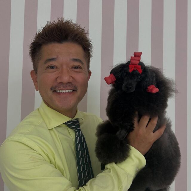 本日は世界で活躍されているS先生による #美容実習 がありました✨

学生に寄り添った授業をしてくださるS先生😎

今日も元気いっぱい学生達が楽しんで授業を受けることが出来ました‼️

｢すごく上手👏｣という素敵な言葉も頂けて、とても嬉しそうでした🫶

次回もまたよろしくお願いします🥰
🐾
🐾
🐾
 #トイプードル #ビションフリーゼ#コンチネンタルクリップ #ハンドラー #グルーマー#いばらき動物専門学院 #土浦 #担当犬 #ライセンス取得 #実習 #パートナードッグ #可愛い #iASC #いば動 #茨城 #動物 #専門 #学校  #犬 #いぬ #セットアップ #ショークリップ #入賞 #できるのはここだけ #現役のプロから教わる授業