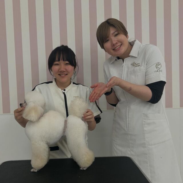 本日の授業は、現役のカリスマトリマーのＭ先生が指導に来てくださりました🐶✨

今日は #パジャマダッチクリップ  に挑戦‼️

難しいカットスタイルでしたが、分からないこともたくさん質問し、仕上げることが出来ました❣️

次回もまたよろしくお願いします︎💕︎
🐾
🐾
#いばらきどうぶつ専門学校 #いばらき動物専門学院 #動物専門学校 #いばどう #土浦市 #トリマー #ドッグトレーナー #動物看護師 #動物臨床助士 #飼育員 #ライセンス取得 #実習 #パートナードッグ #可愛い #iASC #いば動 #茨城 #動物 #専門 #学校 #犬 #個別面談 #体験会 #現役のプロから教わる授業