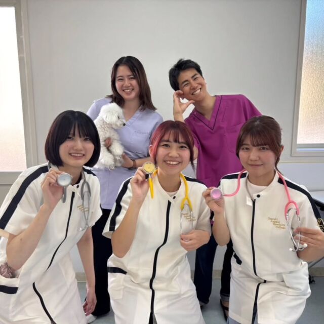 本日は獣医師I先生と動物⁡看護師のM先生による #手術実習 とワクチン接種がありました✨✨ ⁡⁡
⁡⁡
避妊手術を終え、みんなと手術の振り返りをしました👀
術後管理で気をつけるべきことや着目点などを学ぶことができました🗒️✏️✨

１年生は新しく聴診器や体温計がきてとても喜んでいる様子でした😊💕

I先生、M先生本日もありがとうございました✨
今後ともよろしくお願いいたします😌
🐾
 🐾
 🐾
 #いばらきどうぶつ専門学校 #いばらき動物専門学院 #動物専門学校 #いばどう #土浦市 #トリマー #ドッグトレーナー #動物看護師 #動物臨床助士 #飼育員 #ライセンス取得 #実習 #パートナードッグ #可愛い #iASC #いば動 #茨城 #動物 #専門 #学校 #犬 #オープンキャンパス #個別面談 #体験会 #水戸動物専門学校 #現役のプロから教わる授業 #動物病院