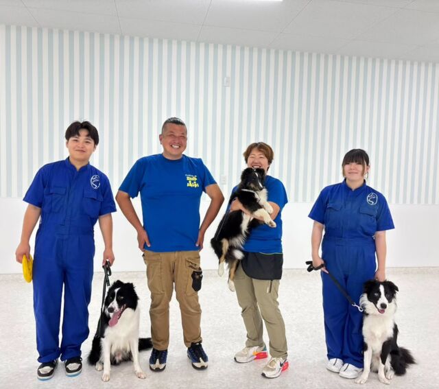 今日の#訓練実習 は犬🐶のしつけ、訓練教室オーナーのS先生とT先生の授業でした✨

今日は基礎訓練をメインで行いました‼️
午後には１年生の担当犬をみていただいたり、デスクの投げ方やコツを教えていただきました🐶

先生、次回もよろしくお願いいたします🙇
🐾⁡
⁡🐾⁡
⁡🐾
⁡⁡⁡⁡#いばらきどうぶつ専門学校 #いばらき動物専門学院 #動物専門学校 #いばどう #土浦市 #トリマー #ドッグトレーナー #動物看護師 #動物臨床助士 #飼育員 #ライセンス取得 #実習 #パートナードッグ #可愛い #iASC #いば動 #茨城 #動物 #専門 #学校 #犬 #オープンキャンパス #個別面談 #水戸動物専門学校 #dogschoolzero⁡ #現役のプロから教わる授業