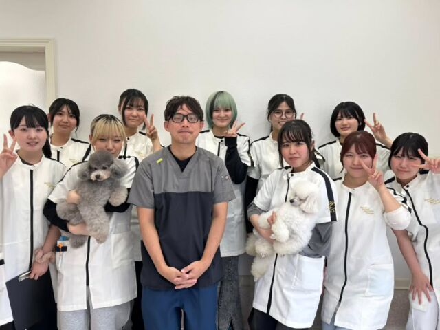 本日は獣医師N先生による #手術実習と#超音波検査実習を行いました✨ ⁡
⁡
１年生は本格的な看護実習🩺がスタートしました👍️
覚えることがたくさんあるけど頑張っていこうね🔥

みんな今日もお疲れ様でした❣️

N先生、本日もありがとうございました✨
次回もよろしくお願いいたします！
🐾
 🐾
 🐾
 #いばらきどうぶつ専門学校 #いばらき動物専門学院 #動物専門学校 #いばどう #土浦市 #トリマー #ドッグトレーナー #動物看護師 #動物臨床助士 #飼育員 #ライセンス取得 #実習 #パートナードッグ #可愛い #iASC #いば動 #茨城 #動物 #専門 #学校 #犬 #オープンキャンパス #個別面談 #体験会 #水戸動物専門学校 #現役のプロから教わる授業 #動物病院