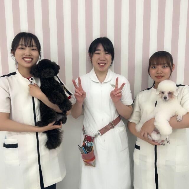 本日の#美容実習 にはトリマーのU先生が指導に来てくださいました💗
 
何事にも丁寧に対応して下さり、学生たちの疑問も答えて下さりとても素敵な時間になりました🤭

本日もありがとうございました😊
次回もまた、よろしくお願いします🙇‍♀️
🐾
🐾
⁡⁡⁡⁡⁡⁡#いばらきどうぶつ専門学校 #いばらき動物専門学院 #動物専門学校 #いばどう #土浦市 #トリマー #ドッグトレーナー #動物看護師 #動物臨床助士 #飼育員 #ライセンス取得 #実習 #パートナードッグ #可愛い #iASC #いば動 #茨城 #動物 #専門 #学校 #犬 #トイプードル #オープンキャンパス #優しい先輩 #現役のプロから教わる授業