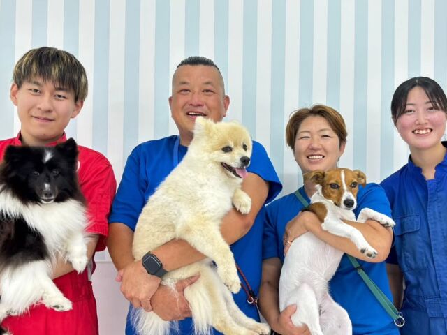 今日の#訓練実習 は犬🐶のしつけ、訓練教室オーナーのS先生とH先生の授業でした✨

今日は午前中に訓練、午後はアジリティを行いました‼️

アジリティでは単品練習だけではなくコースを組んで応用的なことも教えていただきました😊

先生、次回もよろしくお願いいたします🙇
🐾⁡
⁡🐾⁡
⁡🐾
⁡⁡⁡⁡#いばらきどうぶつ専門学校 #いばらき動物専門学院 #動物専門学校 #いばどう #土浦市 #トリマー #ドッグトレーナー #動物看護師 #動物臨床助士 #飼育員 #ライセンス取得 #実習 #パートナードッグ #可愛い #iASC #いば動 #茨城 #動物 #専門 #学校 #犬 #オープンキャンパス #個別面談 #水戸動物専門学校 #dogschoolzero⁡ #現役のプロから教わる授業