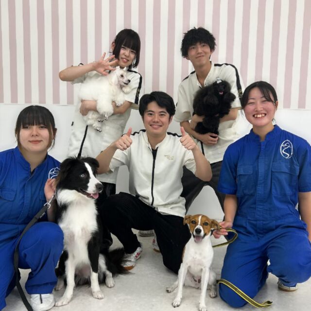 本日もオープンキャンパスにご参加いただきありがとうございました✨

美容体験では #バブルバス でマッサージをしながらシャンプーして頂きました🫧

訓練体験では #団体訓練 を行いました🐕 ͗ ͗

遠方からもたくさんの方から足を運んでいただきありがとうございました🚗³₃

次回のオープンキャンパスは7/26(土)です✨
たくさんのご参加お待ちしております🙇🏻‍♀️

イベントの日程やご予約はプロフィール欄から
HPへGO👉@iasc_iasc
🐾
🐾
🐾
⁡⁡⁡⁡⁡⁡#いばらきどうぶつ専門学校 #いばらき動物専門学院 #動物専門学校 #いばどう #土浦市 #トリマー #ドッグトレーナー #動物看護師 #動物臨床助士 #飼育員 #ライセンス取得 #実習 #パートナードッグ #iASC #いば動 #茨城 #動物 #専門 #学校  #オープンキャンパス #個別面談 #体験会  #優しい先輩 #在校生ありがとう
