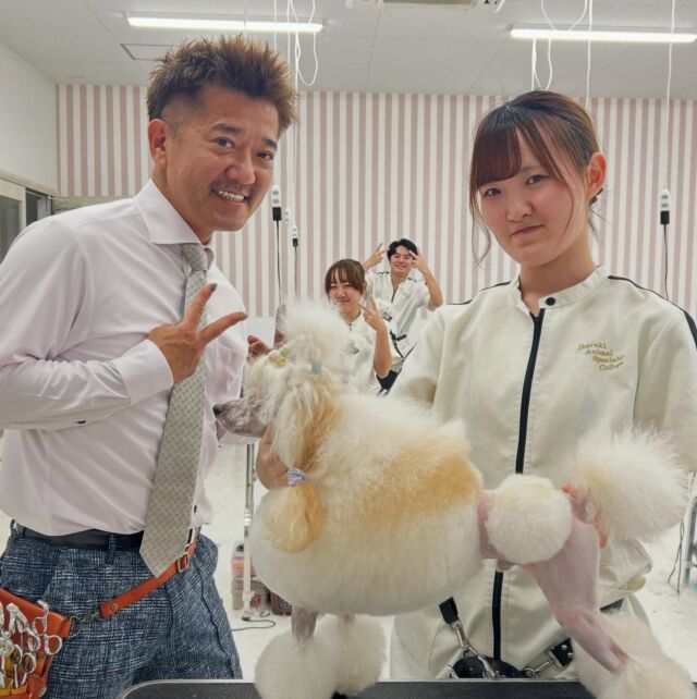 本日は世界で活躍されているS先生による #美容実習 がありました✨

今日はカットチェンジ🪄︎︎✨
 さらに難しいカットスタイルへ変身しました👏🏻

「難しい」と苦戦していた学生達ですが、たくさんお声かけ頂き最後まで頑張ることが出来ました🥹💞

本日もありがとうございました。
次回もよろしくお願い致します🫶
🐾
🐾
🐾
 #トイプードル #ビションフリーゼ#コンチネンタルクリップ #ハンドラー #グルーマー#いばらき動物専門学院 #土浦 #担当犬 #ライセンス取得 #実習 #パートナードッグ #可愛い #iASC #いば動 #茨城 #動物 #専門 #学校  #犬 #いぬ #セットアップ #ショークリップ #入賞 #できるのはここだけ #現役のプロから教わる授業