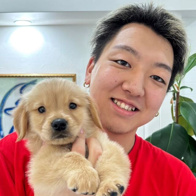 #担当犬 🐶が来ました⭐️

 #ゴールデンレトリーバー の「おでん」くん🐯

おっとりマイペースな男の子です🐻

これから一緒に訓練頑張ろう‼️
🐾
🐾
🐾
#いばらきどうぶつ専門学校 #いばらき動物専門学院 #動物専門学校 #動物 #トリマー #ドッグトレーナー #家庭犬訓練士 #動物看護師 #動物臨床助士 #飼育員 #🐶 #dog #doglover #土浦 #土浦駅 #水戸 #水戸動物専門学校  #つくば #日立 #担当犬 #パートナードッグ #犬 #かわいい⁡⁡#オンリーワンちゃん #トイプードル