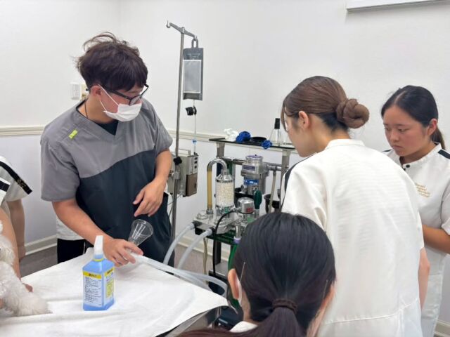 本日は獣医師N先生による #臍ヘルニア と#乳腺腫瘍 の手術実習と授業を行いました ❣️

１年生は自分たちから積極的に先生に質問したり、少しずつ手術実習に慣れてきました👐
これからも先輩と一緒に頑張っていこう✊️🔥

みんな今日もお疲れ様でした☺️

N先生、本日もありがとうございました！
次回もよろしくお願いいたします✨
🐾
 🐾
 🐾
 #いばらきどうぶつ専門学校 #いばらき動物専門学院 #動物専門学校 #いばどう #土浦市 #トリマー #ドッグトレーナー #動物看護師 #動物臨床助士 #飼育員 #ライセンス取得 #実習 #パートナードッグ #可愛い #iASC #いば動 #茨城 #動物 #専門 #学校 #犬 #オープンキャンパス #個別面談 #体験会 #水戸動物専門学校 #現役のプロから教わる授業 #動物病院