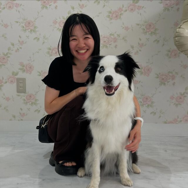 #卒業生 が遊びに来てくれました✨

#担当犬🐶 のウランちゃんも一緒に︎💕︎

卒業後もこうして会いに来てくれて、先生たちも嬉しいです😢💞

また遊びに来てね👏🏻
🐾
🐾
🐾⁡
⁡⁡⁡#いばらきどうぶつ専門学校 #いばらき動物専門学院 #動物専門学校 #いばどう #土浦市 #トリマー #ドッグトレーナー #動物看護師 #動物臨床助士 #飼育員 #実習 #パートナードッグ #可愛い #iASC #いば動 #茨城 #動物 #専門 #学校 #犬 #オープンキャンパス #体験会 #水戸動物専門学校  #トイプードル #プードル  #可愛い卒業生 #iASC自慢の卒業生