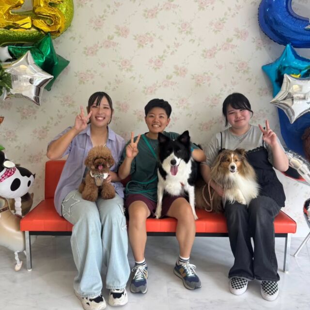 #卒業生 が遊びに来てくれました✨

#担当犬🐶 のシュシュちゃん🎀アウラちゃん🐺向日葵ちゃん🌻も一緒に︎💕︎

卒業後もこうして会いに来てくれて、先生たちも嬉しいです😢💞

また遊びに来てね👏🏻
🐾
🐾
🐾⁡
⁡⁡⁡#いばらきどうぶつ専門学校 #いばらき動物専門学院 #動物専門学校 #いばどう #土浦市 #トリマー #ドッグトレーナー #動物看護師 #動物臨床助士 #飼育員 #実習 #パートナードッグ #可愛い #iASC #いば動 #茨城 #動物 #専門 #学校 #犬 #オープンキャンパス #体験会 #水戸動物専門学校  #トイプードル #プードル  #可愛い卒業生 #iASC自慢の卒業生