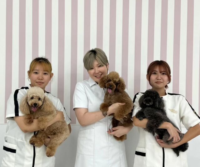 本日の授業は、現役のカリスマトリマーのＭ先生が指導に来てくださりました✨

#ムスタッシュカット や#ベアカット などの可愛いペットカットを沢山丁寧に分かりやすく指導していただきました🐶💕

M先生次回もまたよろしくお願いします︎❤️‍🔥
🐾
🐾
#いばらきどうぶつ専門学校 #いばらき動物専門学院 #動物専門学校 #いばどう #土浦市 #トリマー #ドッグトレーナー #動物看護師 #動物臨床助士 #飼育員 #ライセンス取得 #実習 #パートナードッグ #可愛い #iASC #いば動 #茨城 #動物 #専門 #学校 #犬 #個別面談 #体験会 #現役のプロから教わる授業#トイ・プードル#プードル#トイプー