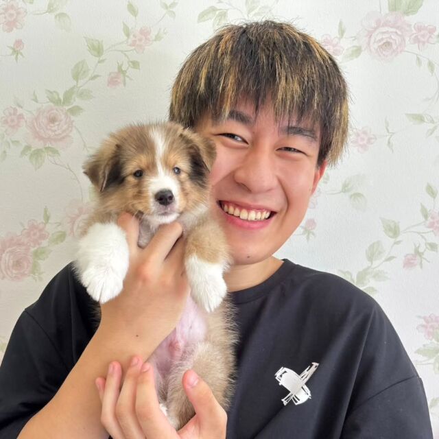 #担当犬 🐶が来ました⭐️

 #シェットランドシープドッグ の男の子「ロルフ」 くんです🐺✨

とっても可愛らしい男の子💕
でも男の子らしく元気で活発です👍️

これから一緒に訓練頑張ろう👏
🐾
🐾
🐾
#いばらきどうぶつ専門学校 #いばらき動物専門学院 #動物専門学校 #動物 #トリマー #ドッグトレーナー #家庭犬訓練士 #動物看護師 #動物臨床助士 #飼育員 #🐶 #dog #doglover #土浦 #土浦駅 #水戸 #水戸動物専門学校  #つくば #日立 #担当犬 #パートナードッグ #犬 #かわいい⁡⁡#オンリーワンちゃん #シェルティ
