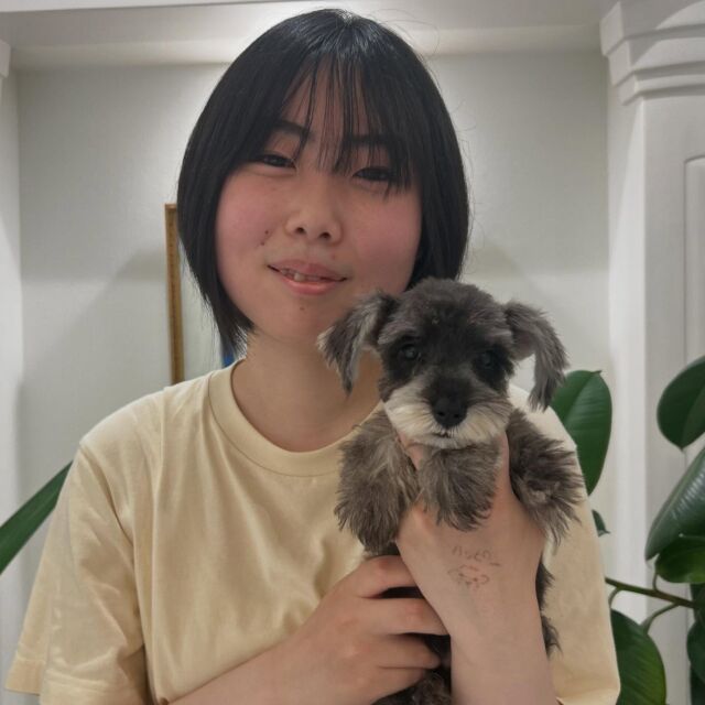 #担当犬 🐶が来ました⭐️

 #ミニチュアシュナウザー の「ハッピー」くんです✨

ハッピーくんの可愛さに皆幸せ気分👼🏻
これから一緒に訓練頑張ろう👏
🐾
🐾
🐾
#いばらきどうぶつ専門学校 #いばらき動物専門学院 #動物専門学校 #動物 #トリマー #ドッグトレーナー #家庭犬訓練士 #動物看護師 #動物臨床助士 #飼育員 #🐶 #dog #doglover #土浦 #土浦駅 #水戸 #水戸動物専門学校  #つくば #日立 #担当犬 #パートナードッグ #犬 #かわいい⁡⁡#オンリーワンちゃん #シュナウザー