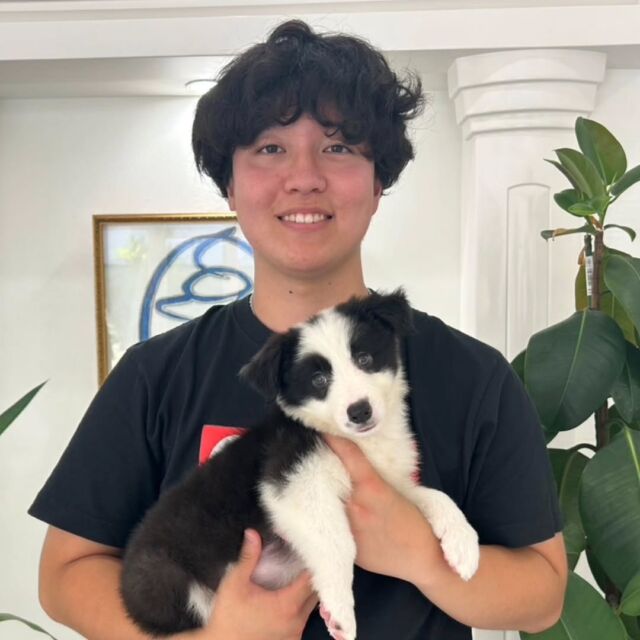 #担当犬 🐶が来ました⭐️

 #ボーダーコリー の「ジュラ」くんです🦕✨

頭の上にやる気スイッチ(模様)があります☺️笑
これから一緒に訓練頑張ろう👍️
🐾
🐾
🐾
#いばらきどうぶつ専門学校 #いばらき動物専門学院 #動物専門学校 #動物 #トリマー #ドッグトレーナー #家庭犬訓練士 #動物看護師 #動物臨床助士 #飼育員 #🐶 #dog #doglover #土浦 #土浦駅 #水戸 #水戸動物専門学校  #つくば #日立 #担当犬 #パートナードッグ #犬 #かわいい⁡⁡#オンリーワンちゃん #ボーダー #ぼーだーこりー