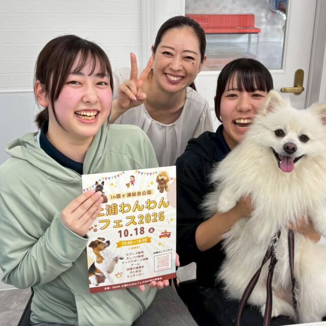 #卒業生 たちが遊びに来てくれました✨

#担当犬 🐶のシエル君も一緒👍️

忙しい中遊びにきてくれてありがとう💕
トリマーとドッグトレーナーとして頑張ってる事を報告に来てくれました‼️
また10月18日に#霞ヶ浦総合公園 でイベント#土浦わんわんフェス2025 を開催するそうです☺️とても楽しいイベントなので皆さんお越しください😘

また遊びに来てね☺️
🐾
🐾
🐾⁡
⁡⁡⁡#いばらきどうぶつ専門学校 #いばらき動物専門学院 #動物専門学校 #いばどう #土浦市 #トリマー #ドッグトレーナー #動物看護師 #動物臨床助士 #飼育員 #実習 #パートナードッグ #可愛い #iASC #いば動 #茨城 #動物 #専門 #学校 #犬 #オープンキャンパス #体験会 #水戸動物専門学校  #トイプードル #可愛い卒業生 #iASC自慢の卒業生