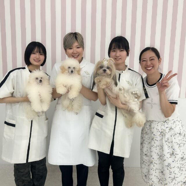 本日のオープンキャンパスには現役カリスマトリマーのM先生が来てくださいました💕

難しいことにチャレンジする学生を優しくサポートしてくださいました😌💞

本日もありがとうございました☺️
次回もまたよろしくお願いします🤝
🐾
🐾
🐾
⁡⁡⁡⁡⁡⁡#いばらきどうぶつ専門学校 #いばらき動物専門学院 #動物専門学校 #いばどう #土浦市 #トリマー #ドッグトレーナー #動物看護師 #動物臨床助士 #飼育員 #ライセンス取得 #実習 #パートナードッグ #可愛い #iASC #いば動 #茨城 #動物 #専門 #学校 #犬#シュナウザー #オープンキャンパス #個別面談 #体験会 #水戸動物専門学校 #優しい先輩 #在校生ありがとう